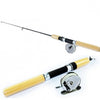 Metal Reel Telescopic Winter Fishing Rod