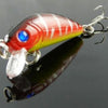 Isca Artificial Fishing Lure Bait