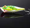 Sea Fishing Tackle Hard Lure Bait
