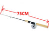 Metal Reel Telescopic Winter Fishing Rod